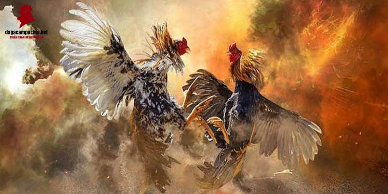 K9win là một thương hiệu giải trí hướng đến đối tượng game thủ Việt Nam - K9win