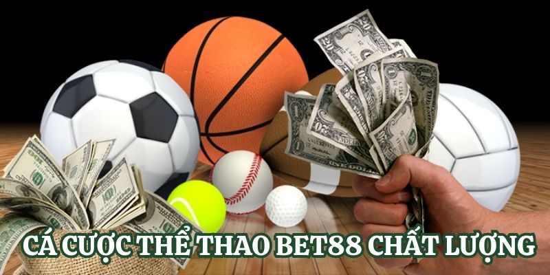 77Win là một trong những cổng game phổ biến nhất năm 2026 - 77Win