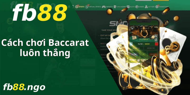Các sản phẩm hiện đang được bày bán trên trang web chính thức của Neo79 - Neo79