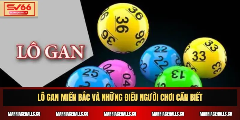 Các tính năng chính của trang web chơi game Bong88 Palace uy tín - Bong88