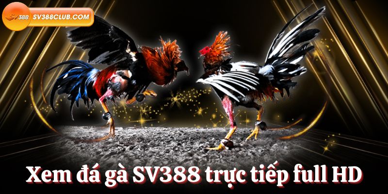 Trên mạng đang lan truyền tin đồn rằng Okvip là một trò lừa đảo Nguyên nhân của những tin đồn này là gì? - Okvip