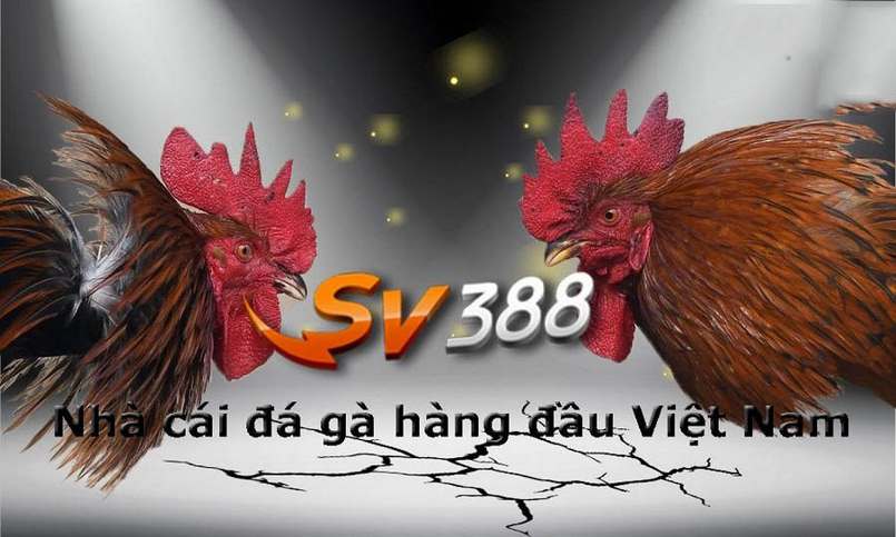 Đánh giá xếp hạng tín dụng Subet - Subet