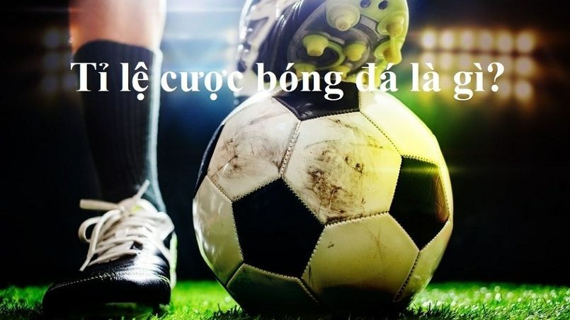 Ứng dụng 7Club dành cho iOS - Tải xuống cho iPhone và iPad - 7Club