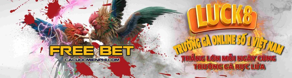 Câu hỏi thường gặp: Câu hỏi thường gặp Betvn - Betvn