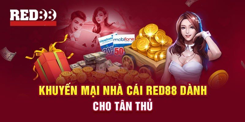 Tổng quan về trò chơi thẻ bài Ffok - Ffok