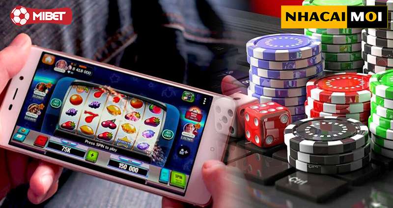 Trang web của 7Ball có thông tin về tất cả các khu cắm trại - 7Ball