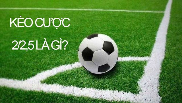 Tại sao các game được xếp hạng Kimsa88 lại hấp dẫn người chơi đến vậy? - Kimsa88