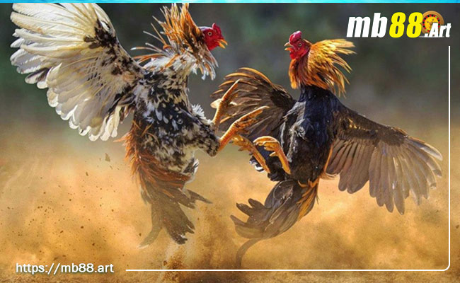 Các biện pháp phòng ngừa khi chơi game từ các công ty game AAA hàng đầu - Mg188