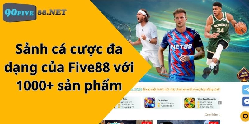 Chính sách bảo mật của Qqvn - Qqvn
