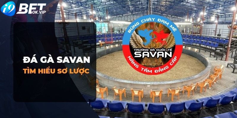 Các bước tham gia chương trình khuyến mãi bán chạy nhất của Sv88 - Sv88