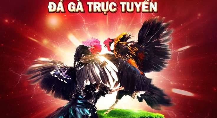 Nn88 Gaming đã tài trợ cho những câu lạc bộ nào? - Nn88