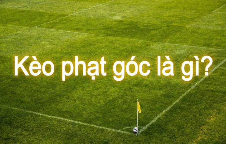 Dưới đây là tổng quan ngắn gọn về sảnh chờ trò chơi câu cá được xếp hạng K89bet vô cùng hấp dẫn này - K89bet