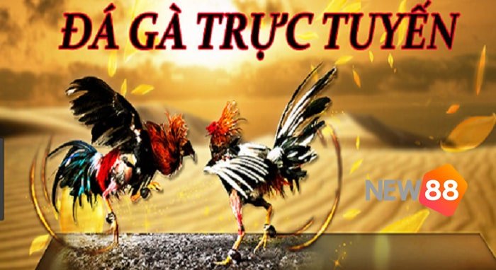 Trang web game Xs88 này cung cấp những tựa game độc đáo nào? - Xs88