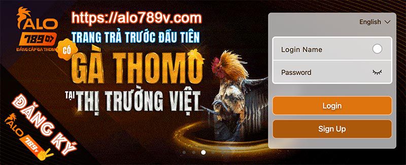 Kỹ năng đấu vật trực tuyến đạt cấp độ Bk8 - Bk8